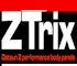 Logo for ZTrix